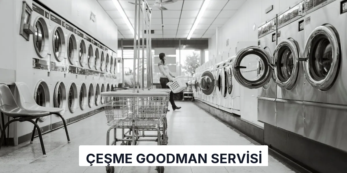 Çeşme Goodman Servisi